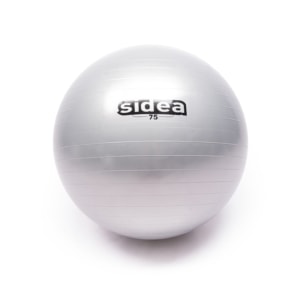 0428-0446 Gymnastikball