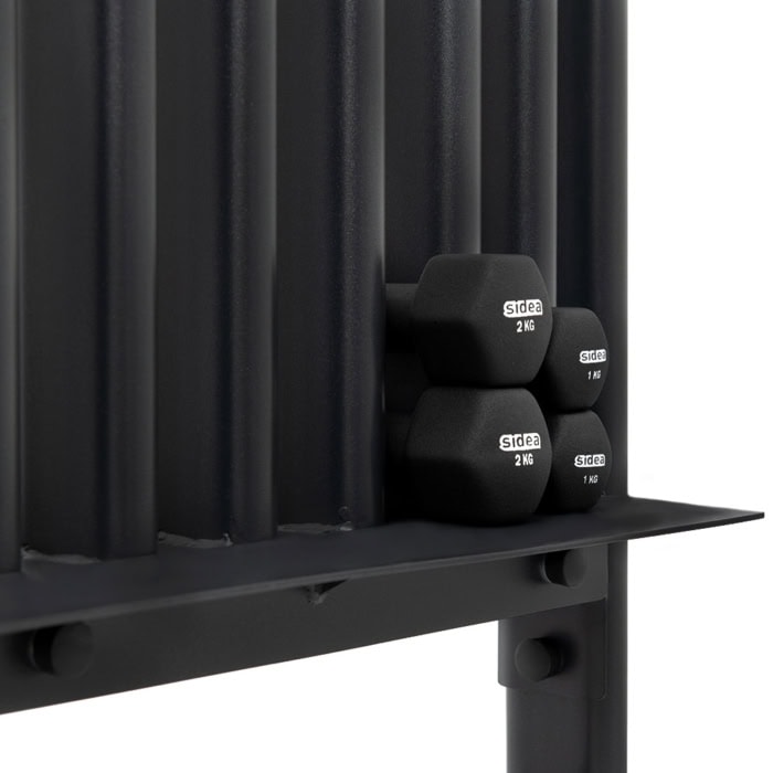 1155 Vertical Dumbbells Rack