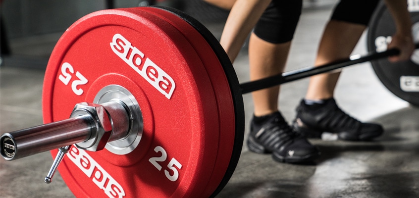 Disco Peso 5 Libbre (Coppia) - Sports Authority - Ghisa Per Palestra E Crossfit