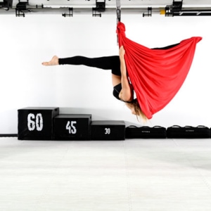 2050V Hammock