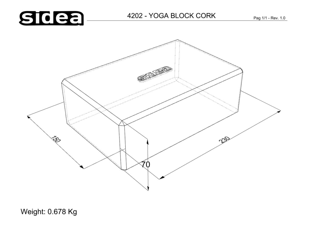 4202 - Dimensiones en mm