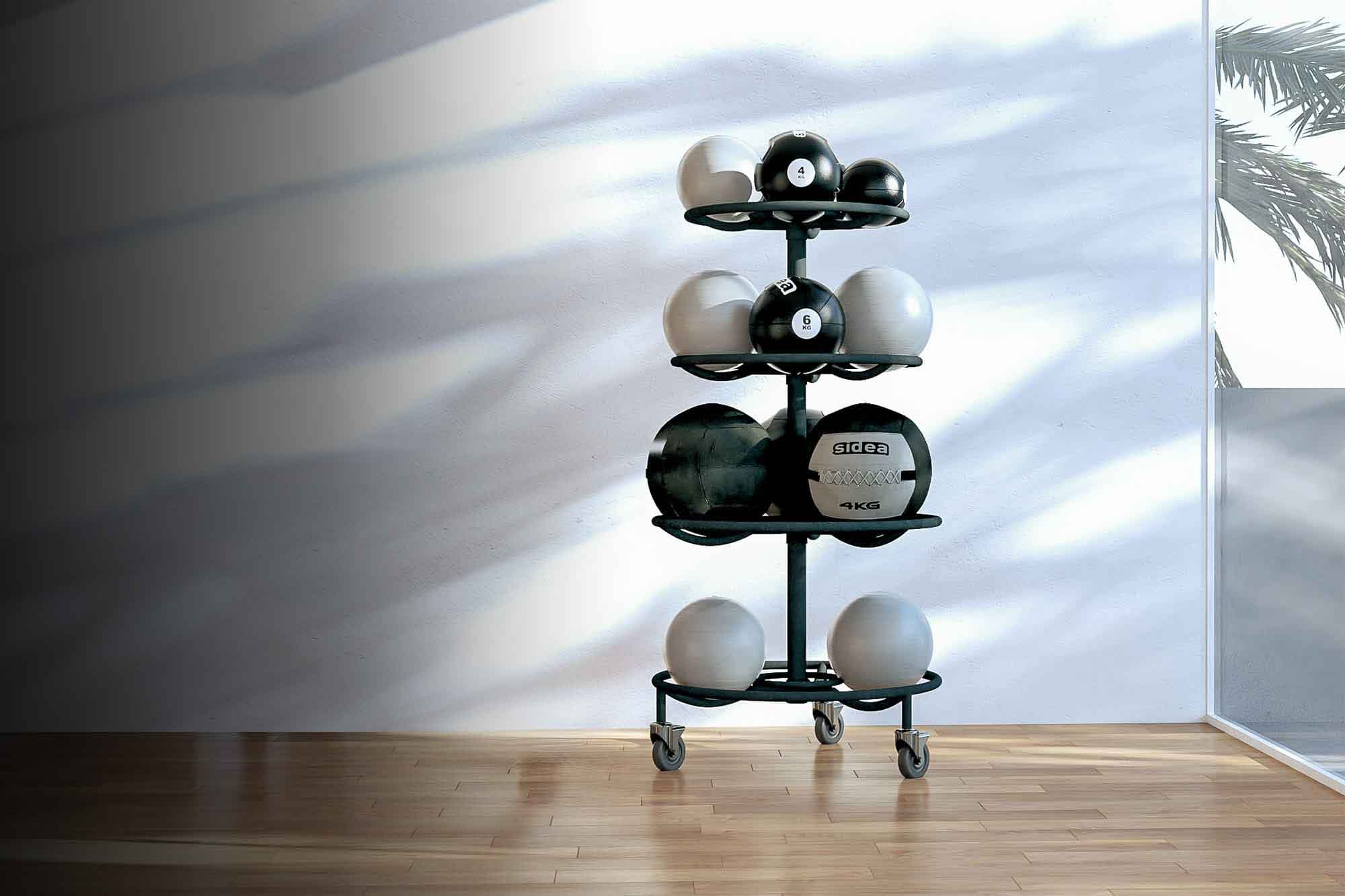 Giant Med Ball Rack con palloni medici di diverse dimensioni in uno spazio fitness professionale.
