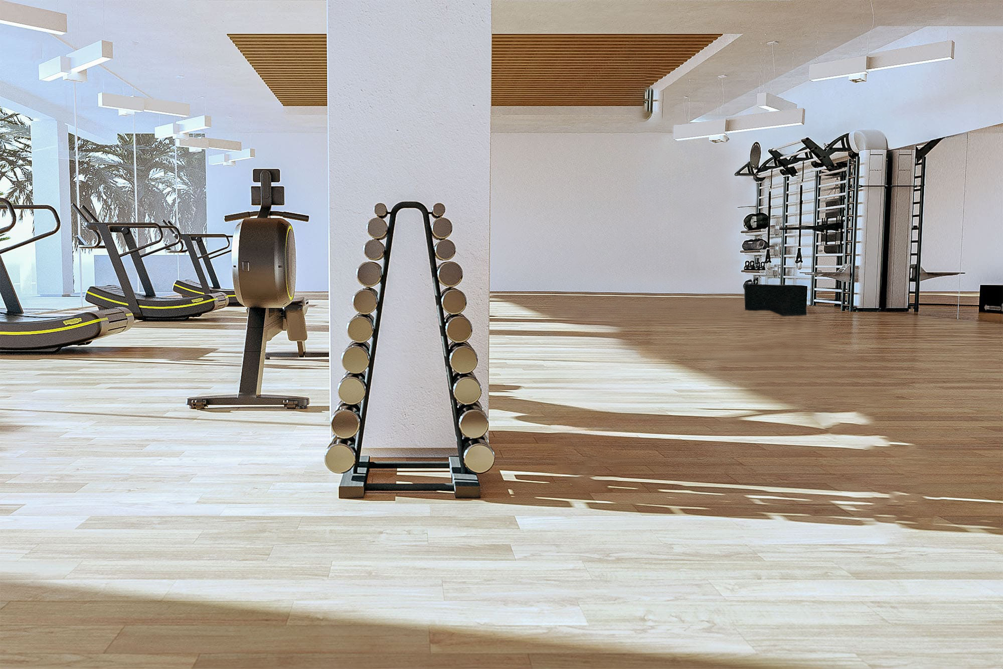 Sidea - 1156-PYRAMID-DUMBBELLS-RACK-copertina