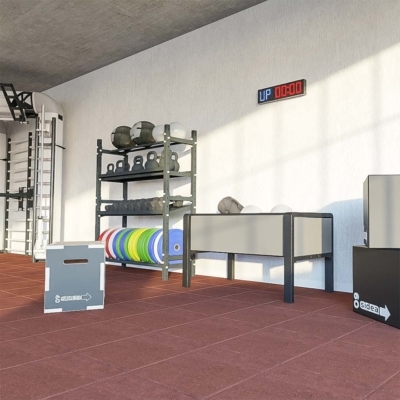 Athletic preparation, physical conditioning and rehabilitation-3
