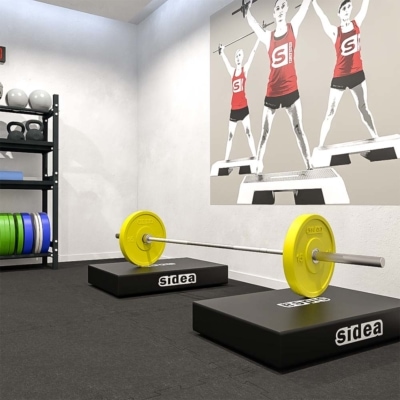 Athletic preparation, physical conditioning and bumper plate rehabilitation