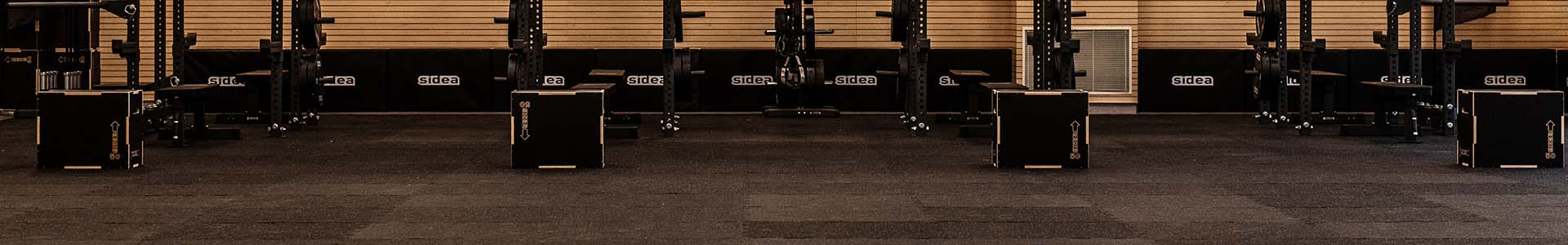 high performance evento strongfirst cesena febbraio solo pavimento