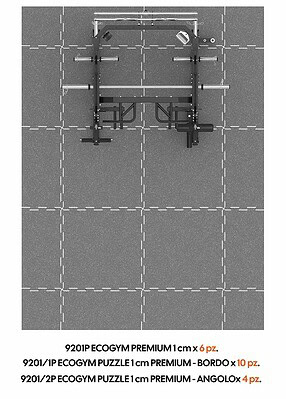 9080 - All-in-One Rack + 9201P ecogym 1 cm premium